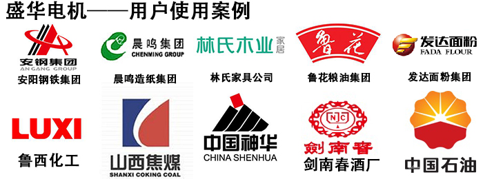 盛华电机合作案例