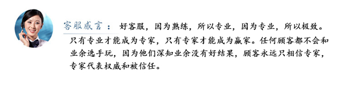 山东盛华电机生产厂家,颚式破碎机专用电机,专用电机定制