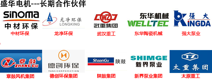 山东盛华电机生产厂家,电机保养