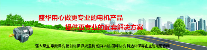 山东电机生产厂家,破碎机专用电机,电机定制 山东电机生产厂家,破碎机专用电机,电机定制