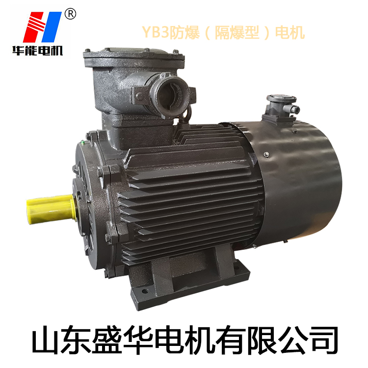 山东变频电机,电机生产厂家,大功率防爆电机,电机防护等级
