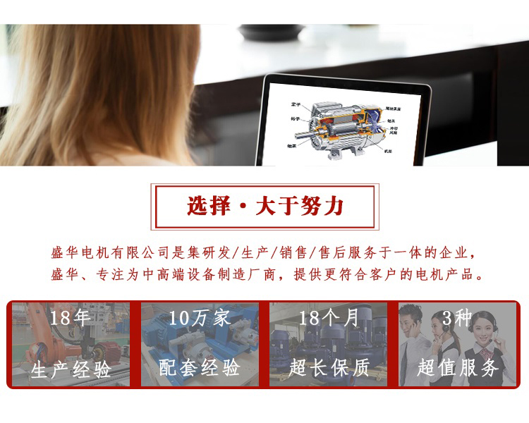 盛华电机,电机厂,大功率电机,电机运行电压