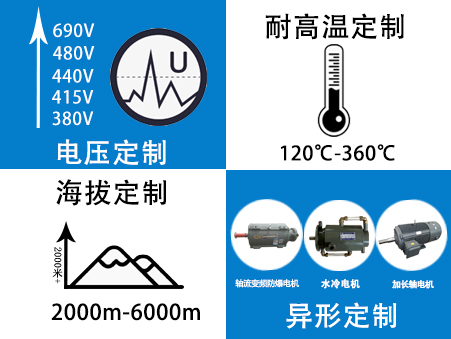 电机定制生产厂家